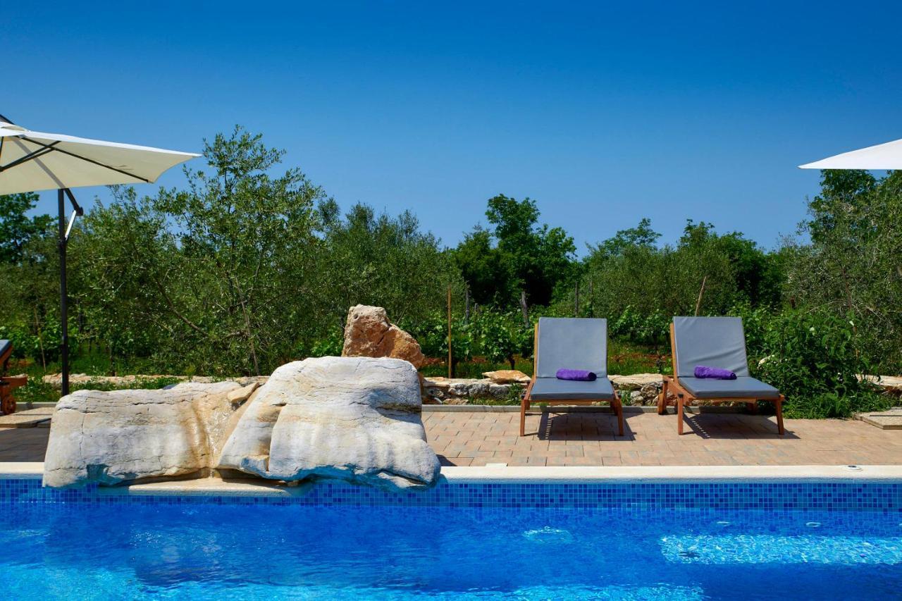 Villa Relax House Surrounded By Olives And Vineyard Stifanići Esterno foto