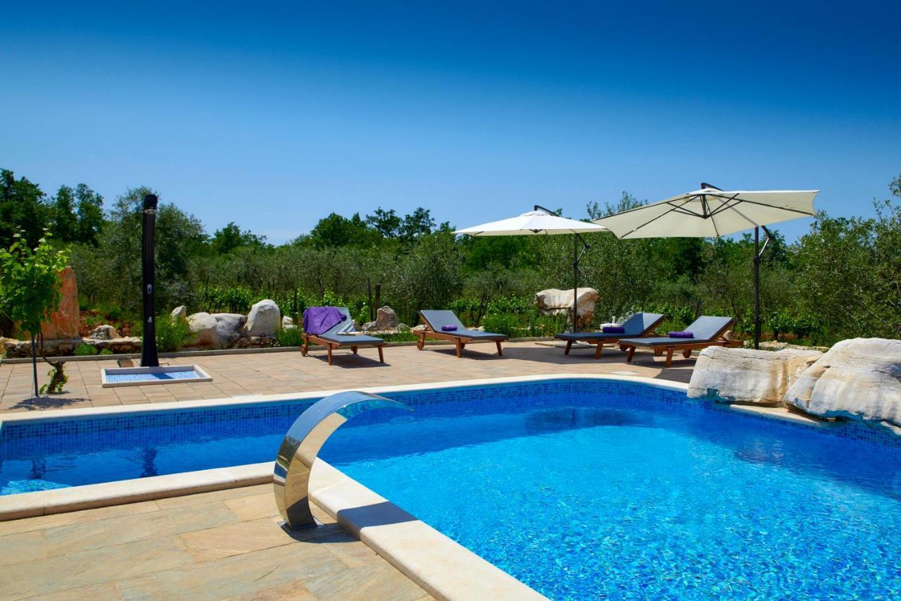 Villa Relax House Surrounded By Olives And Vineyard Stifanići Esterno foto