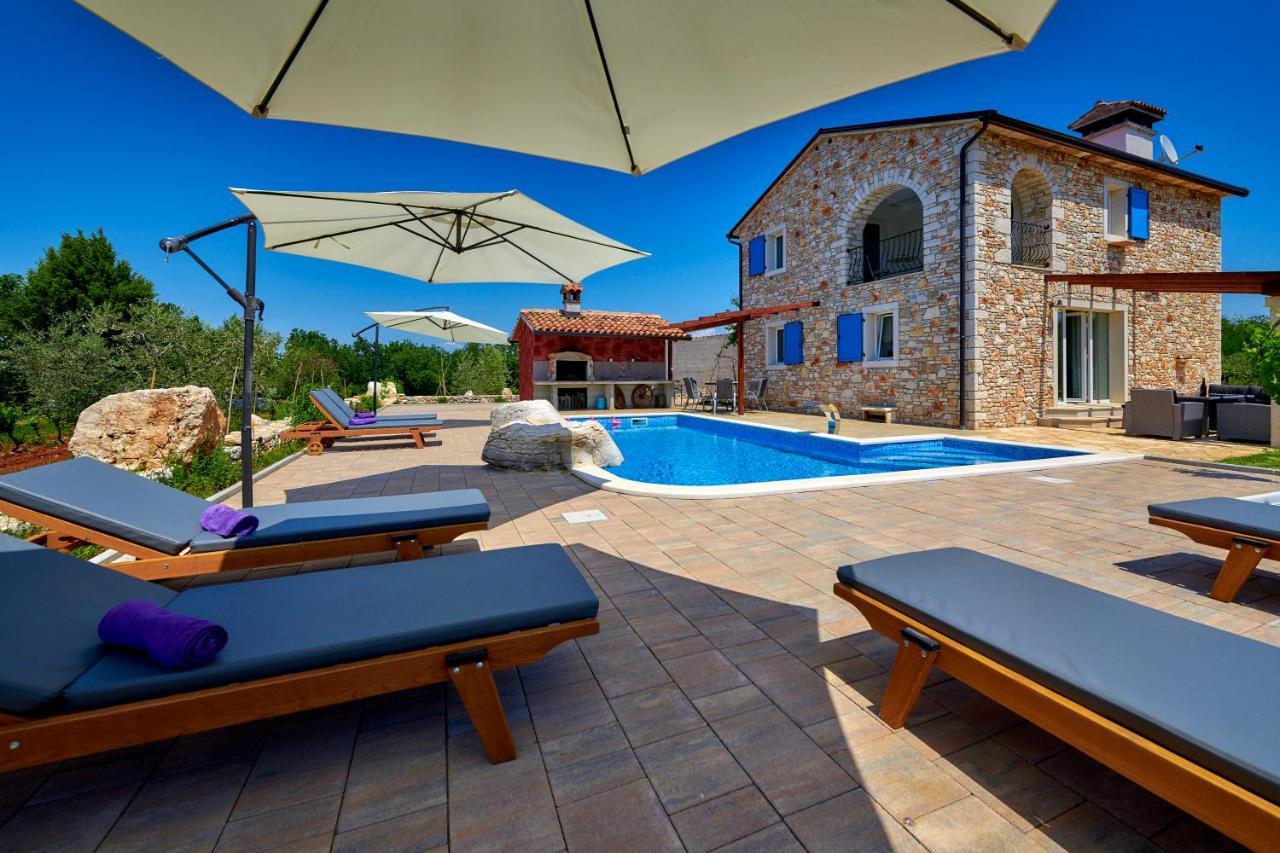 Villa Relax House Surrounded By Olives And Vineyard Stifanići Esterno foto