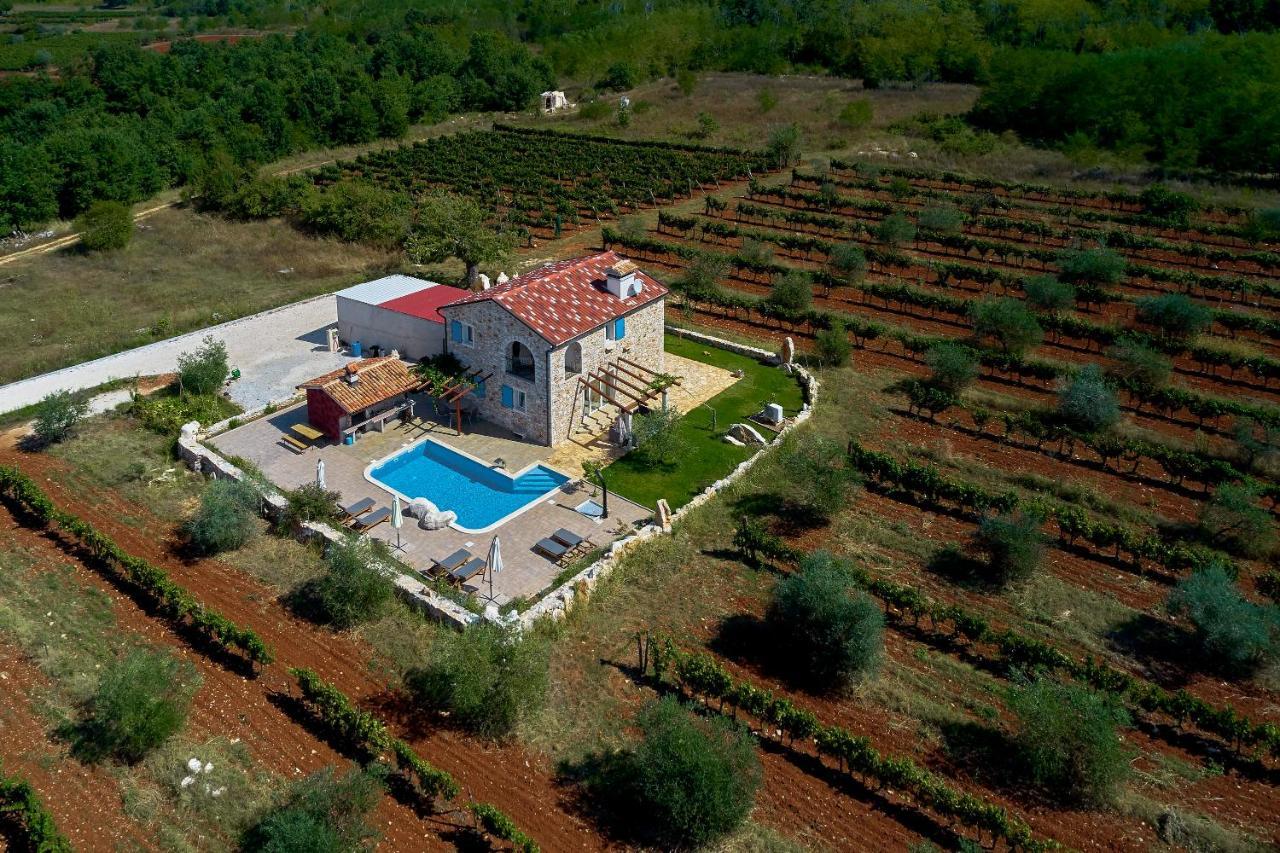 Villa Relax House Surrounded By Olives And Vineyard Stifanići Esterno foto