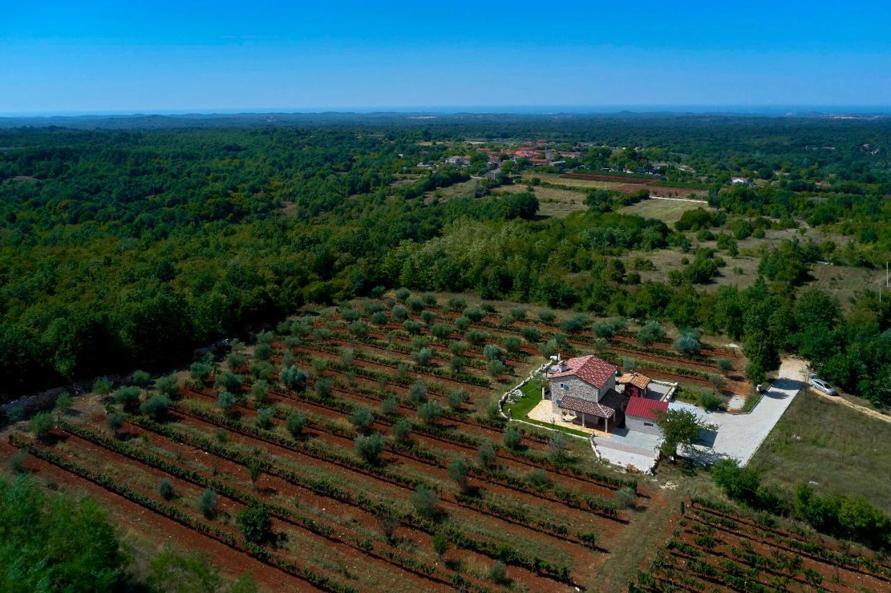 Villa Relax House Surrounded By Olives And Vineyard Stifanići Esterno foto