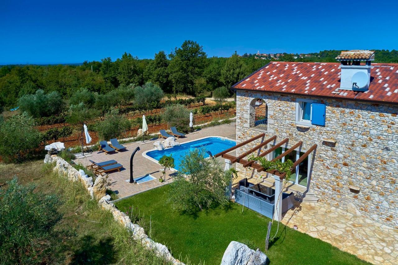 Villa Relax House Surrounded By Olives And Vineyard Stifanići Esterno foto